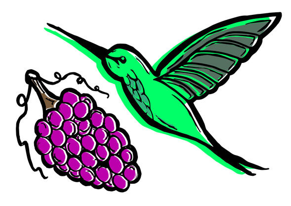 Vectorial 2023